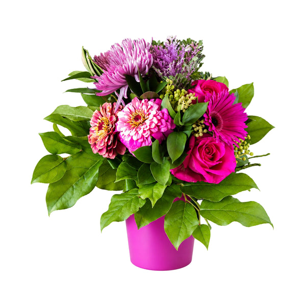 Couleur pourpre