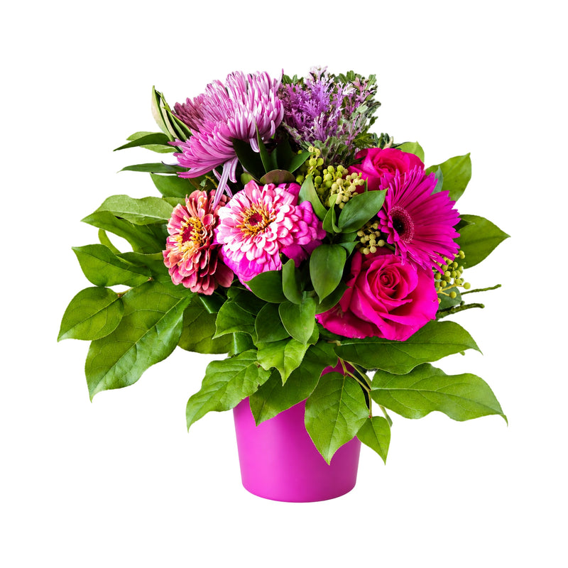 Couleur pourpre