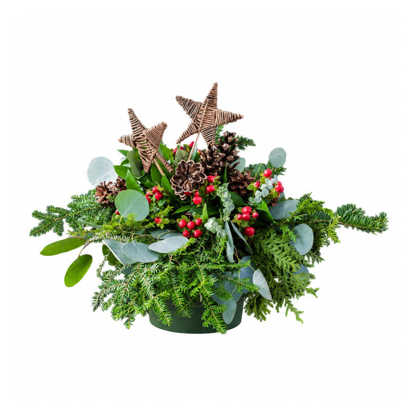 Étoile de noel