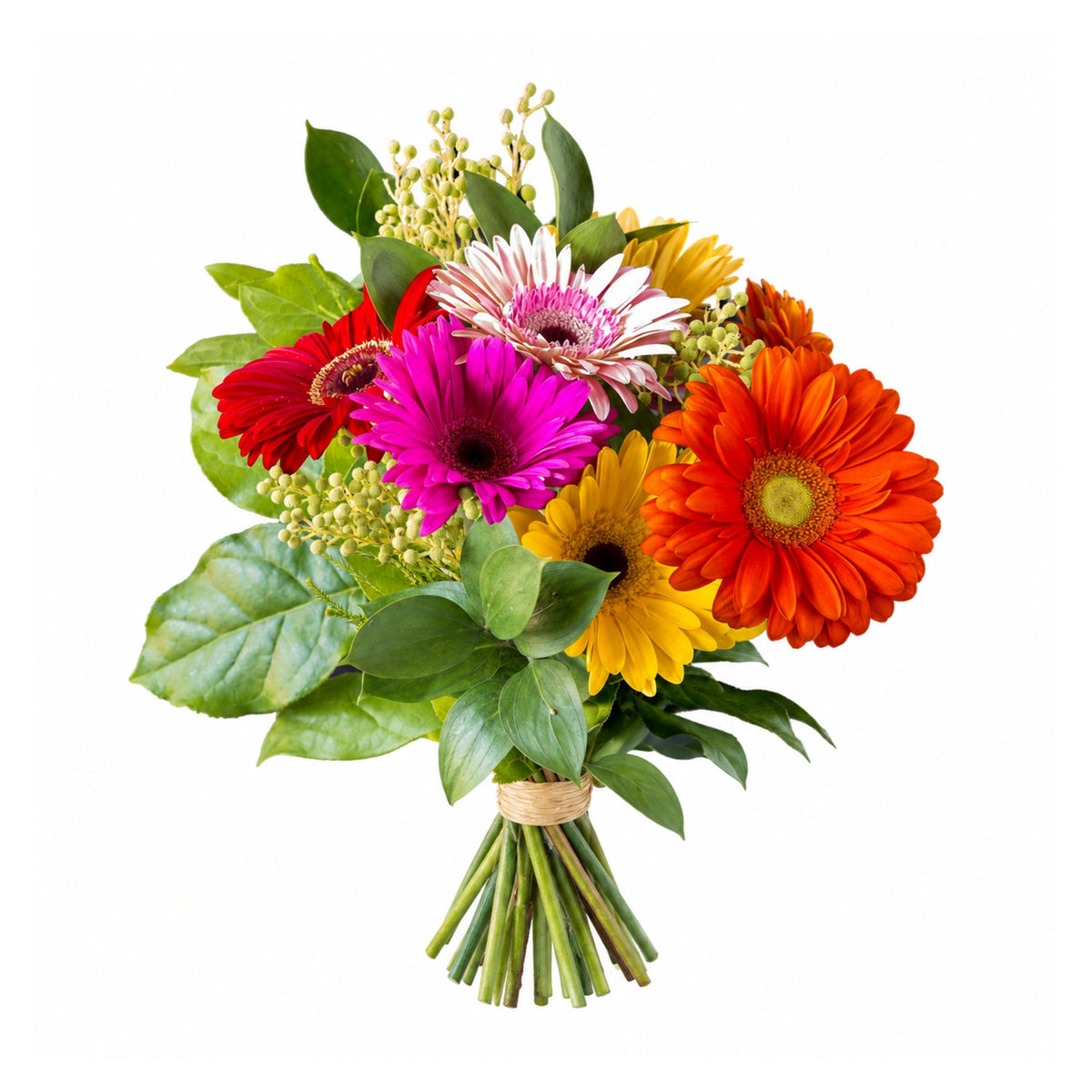 Gerberas en folie