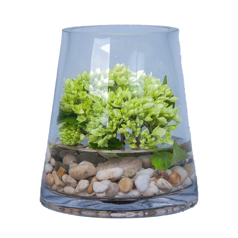 La verrine