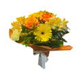 Arrangement dans la mousse — jaune et orange