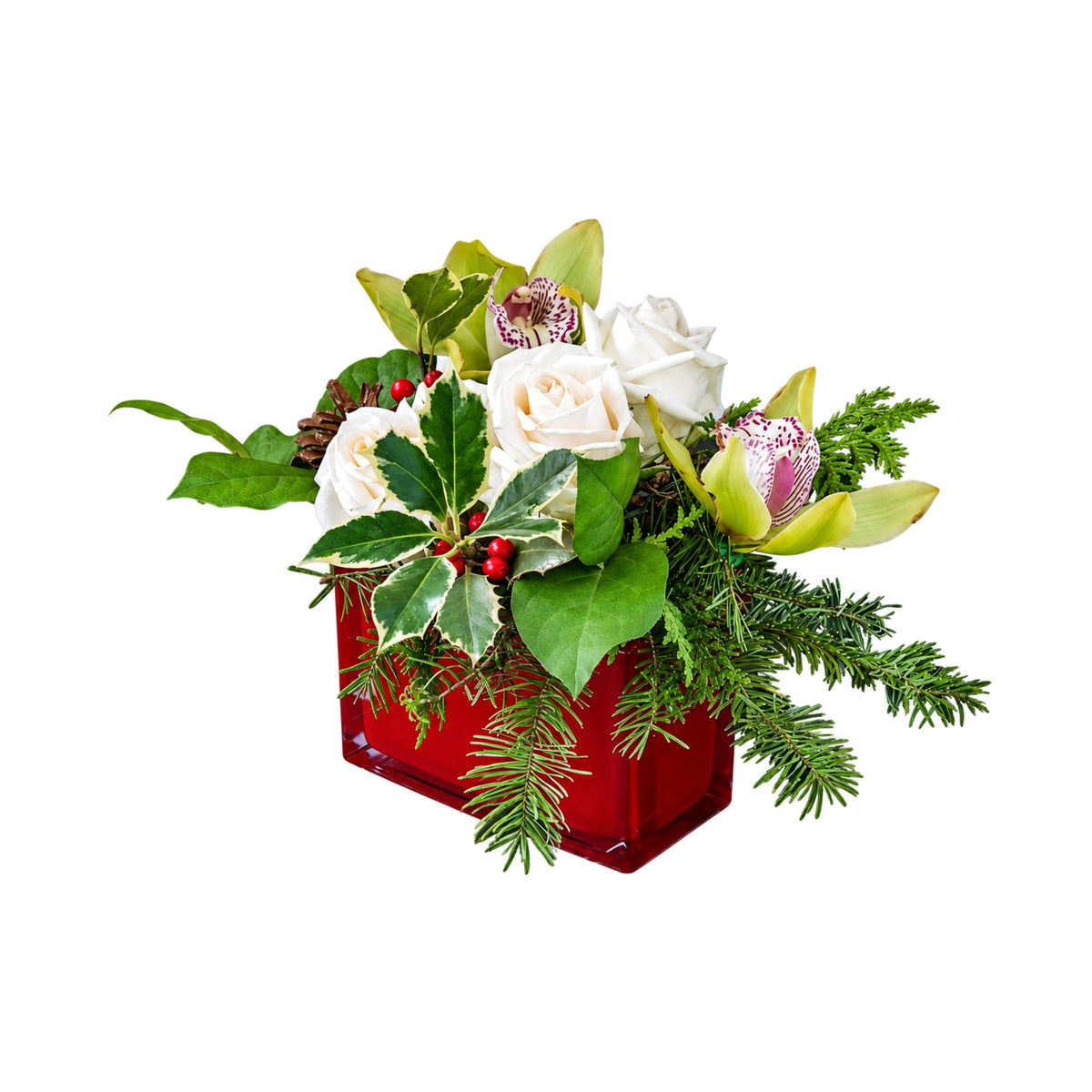 Orchidée pour noel