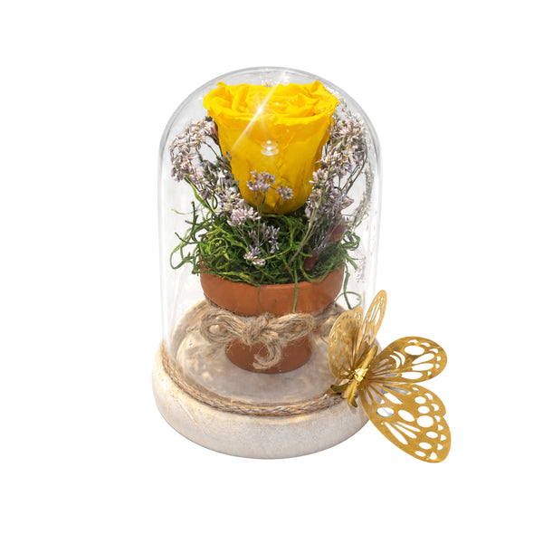 Rose éternelle jaune