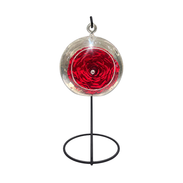 Rose éternelle rouge XL