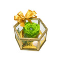 rose eternelle vert