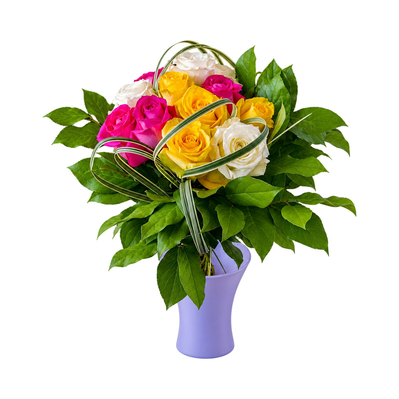 Roses variées ou couleurs unies