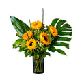 Tournesols plein été