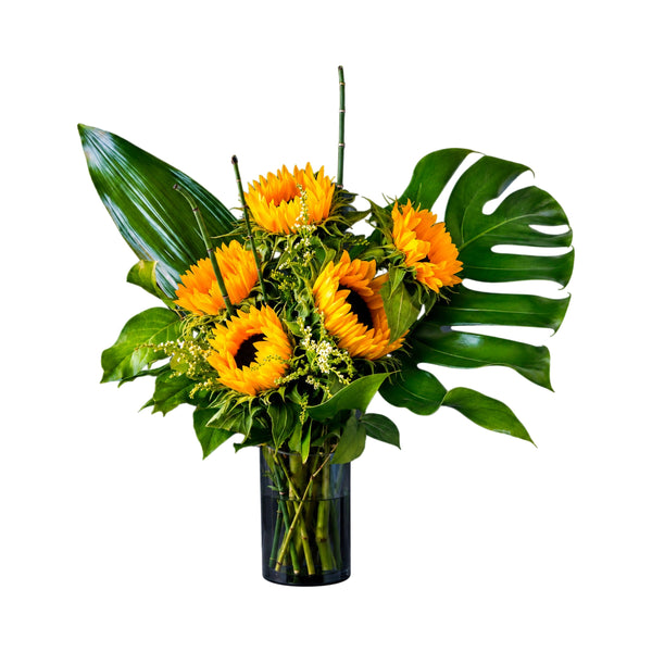 Tournesols plein été